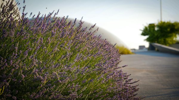 Ménage à domicile à strasbourg : simplifiez votre quotidien