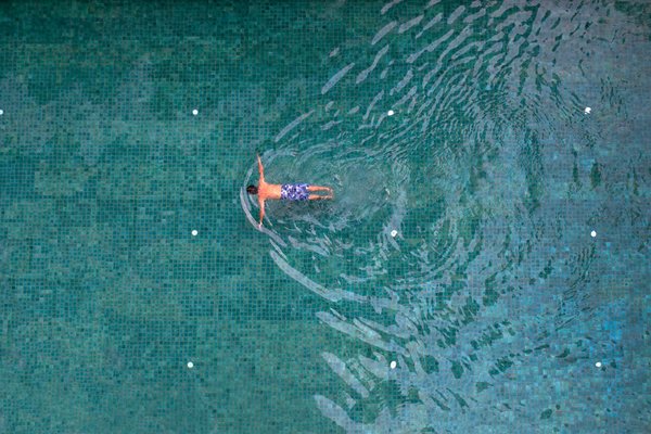 7 façons créatives d'utiliser une brouette dans son jardin