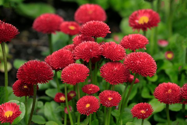 Les secrets d'une assurance logement pas chère et efficace